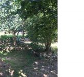 photo de l'annonce I-3513113 Maison / Villa