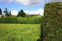 photo de l'annonce I-3518984 Terrain