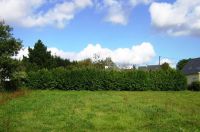 Terrain