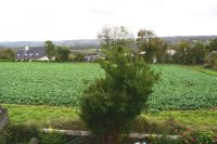 photo de l'annonce I-3553451 Maison / Villa