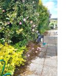 photo de l'annonce I-3553452 Maison / Villa