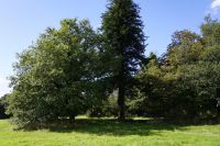 photo de l'annonce I-3553447 Bureau, local commercial