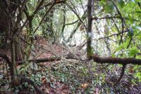 photo de l'annonce I-3553454 Maison / Villa