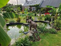 photo de l'annonce I-3553456 Maison / Villa