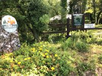 photo de l'annonce I-3553457 Terrain