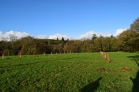 photo de l'annonce I-3553458 Maison / Villa