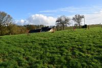 photo de l'annonce I-3553458 Maison / Villa