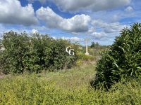 Terrain 314m²