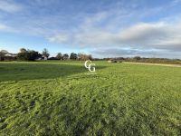 photo de l'annonce I-3560022 Maison / Villa