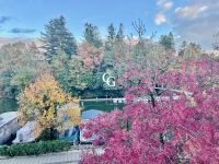 photo de l'annonce I-3559950 Appartement