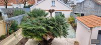 photo de l'annonce I-3524159 Maison / Villa
