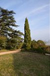 photo de l'annonce I-1356011 Grange, corps de ferme