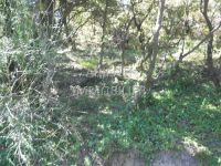 photo de l'annonce I-1205254 Terrain