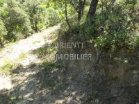 photo de l'annonce I-1205254 Terrain