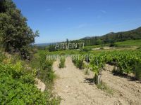photo de l'annonce I-1205254 Terrain