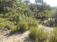 photo de l'annonce I-2756557 Terrain