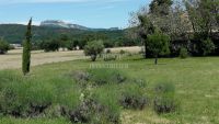 photo de l'annonce I-3240414 Grange, corps de ferme