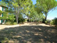 photo de l'annonce I-3505250 Appartement
