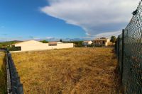 Terrain