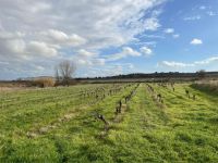 photo de l'annonce I-3520996 Terrain