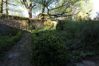 photo de l'annonce I-3524892 Prestige