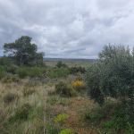 Terrain