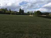 Terrain