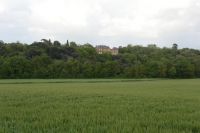 Terrain