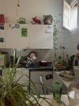 photo de l'annonce I-3541020 Appartement