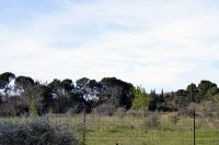 photo de l'annonce I-2449950 Terrain