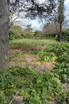 photo de l'annonce I-2458902 Terrain