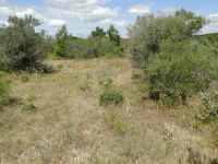 photo de l'annonce I-2683669 Terrain