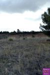 photo de l'annonce I-2825965 Terrain