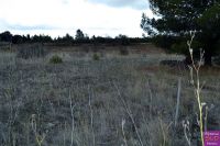 photo de l'annonce I-2825965 Terrain