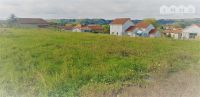 Terrain