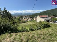 Terrain