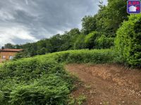 Terrain
