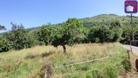 Terrain