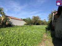 Terrain