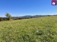 Terrain