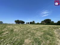 Terrain