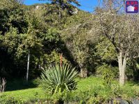 photo de l'annonce I-3551605 Maison / Villa