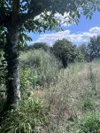 photo de l'annonce I-3506957 Terrain