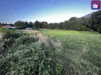Terrain