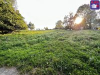Terrain