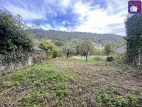 Grange, corps de ferme 300m²