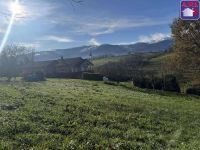 Terrain