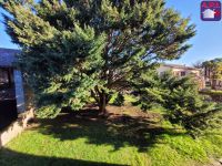 photo de l'annonce I-3520205 Appartement
