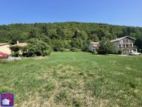Terrain