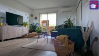 T3 62m²